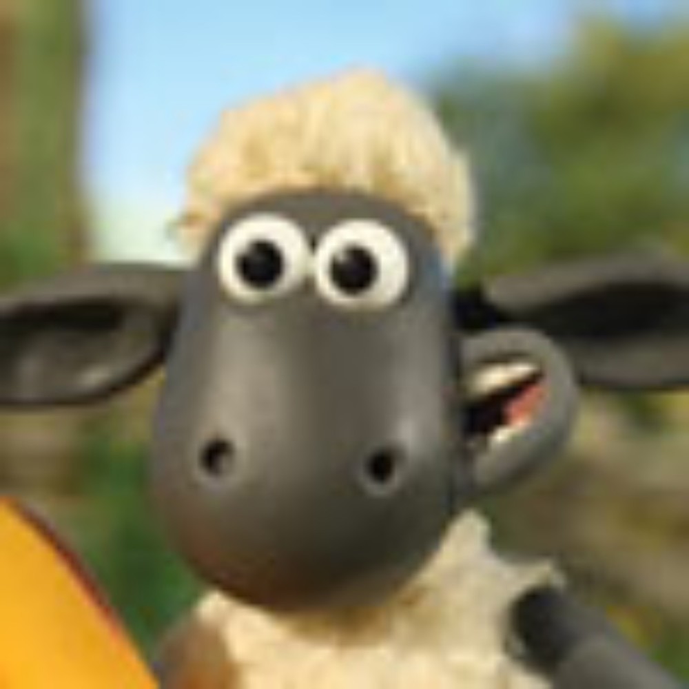 Meet your Posher, Patricia
